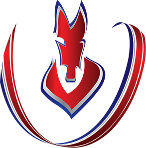 ahs-logo-head