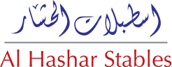 ahs-logo-text