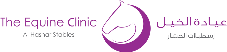 equine-clinic
